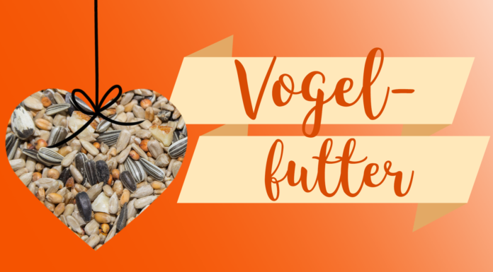 Für mehr Piepmatze! Vogelfutter – Anhänger